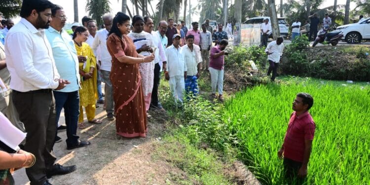 District Collector Chadalavada Nagarani interacting with farmers during e-crop booking field inspection at Bhairavapalem, Narasapuram Mandal.