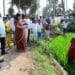 District Collector Chadalavada Nagarani interacting with farmers during e-crop booking field inspection at Bhairavapalem, Narasapuram Mandal.