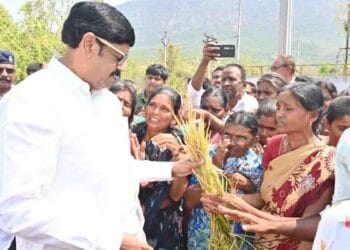 Minister Anam Ramnarayana Reddy inspecting hailstorm-damaged crops under Farmer Compensation Assurance