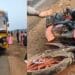 Eluru road accident police inspecting bike crash site