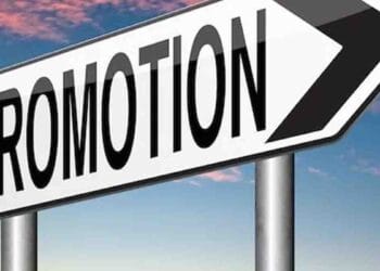 Andhra Pradesh government promotes 10 officers as Zilla Praja Parishad CEOs for rural development