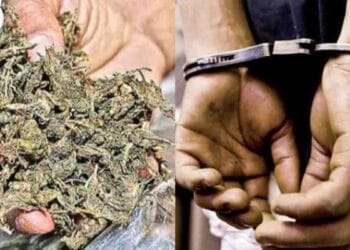 Mangalagiri ganja arrests police seizing cannabis in Guntur
