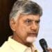 chandrababu naidu bapatla visit pattadar passbook distribution